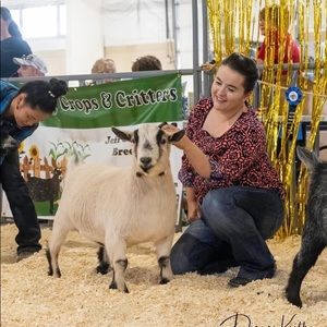 Meet your Posher, Shelby